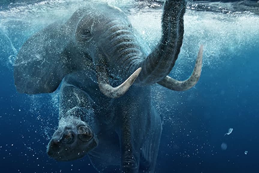 Ein Elefant taucht unter Wasser, umgeben von aufsteigenden Luftblasen – Symbol für Stärke und gleichzeitig überraschende Leichtigkeit